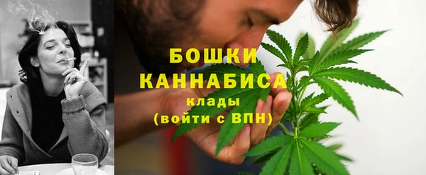 метадон Зеленодольск