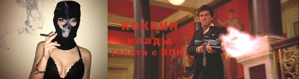 амф Зерноград