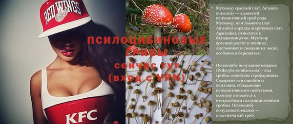 не бодяженный Зеленокумск