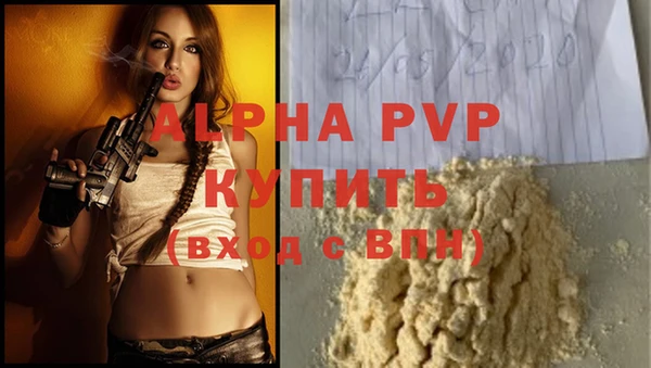 амф Зерноград